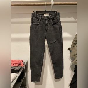 Everlane Curvy Cheeky Straight Jean